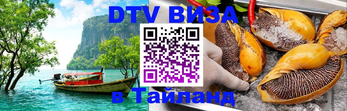 Оформление DTV визы под ключ: стоимость и тарифы, только загранпаспорт - Любляна  04.10.2025 